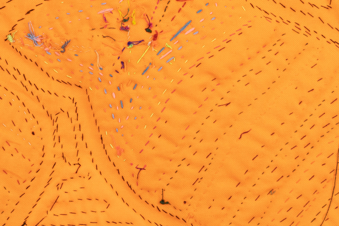 Goonie Bird Family Mola