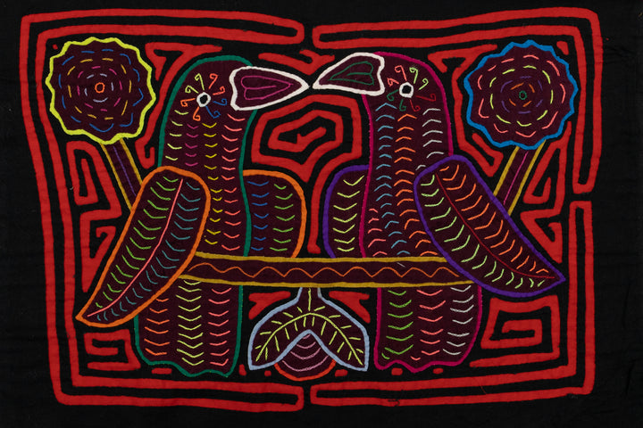 Elegant Parrot Bird Mola