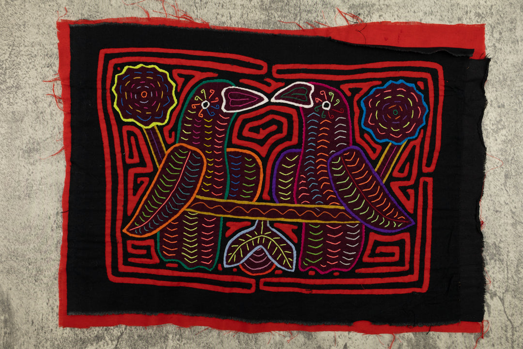 Elegant Parrot Bird Mola