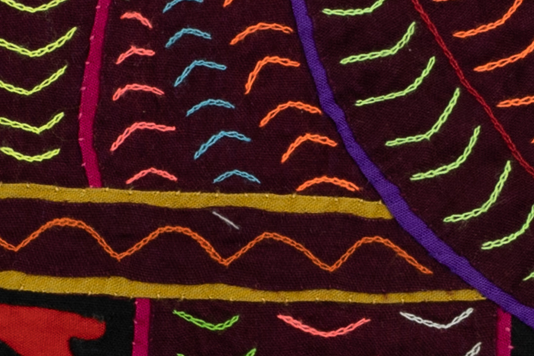 Elegant Parrot Bird Mola