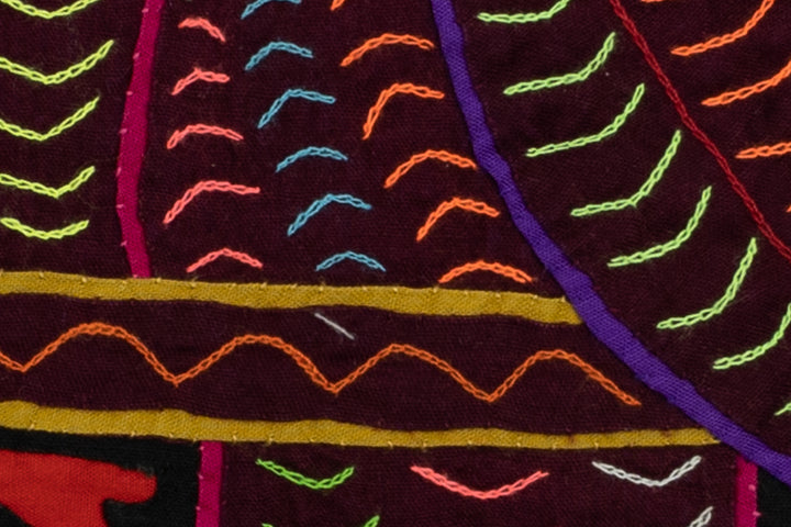 Elegant Parrot Bird Mola