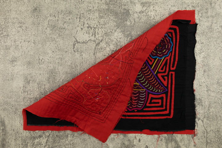 Elegant Parrot Bird Mola