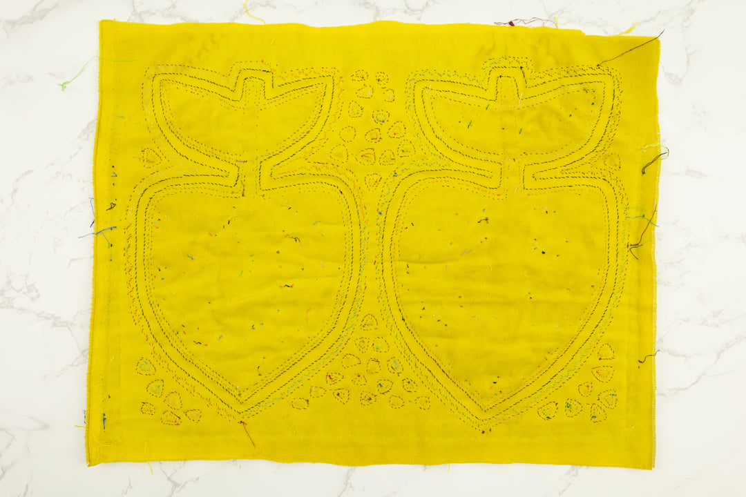 Apple Fruit Panama Mola