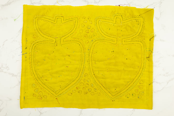 Apple Fruit Panama Mola