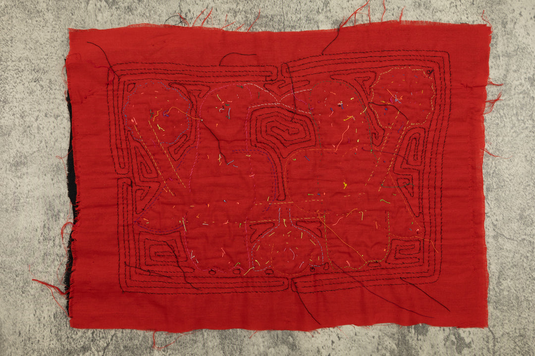 Elegant Parrot Bird Mola