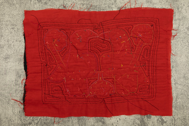 Elegant Parrot Bird Mola