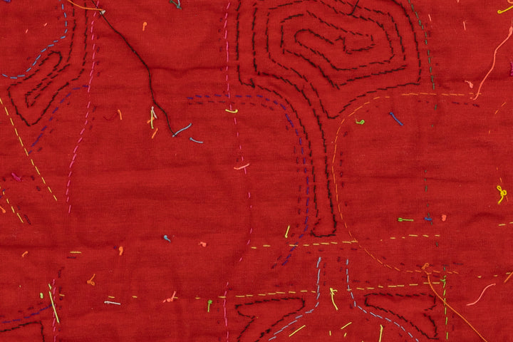 Elegant Parrot Bird Mola