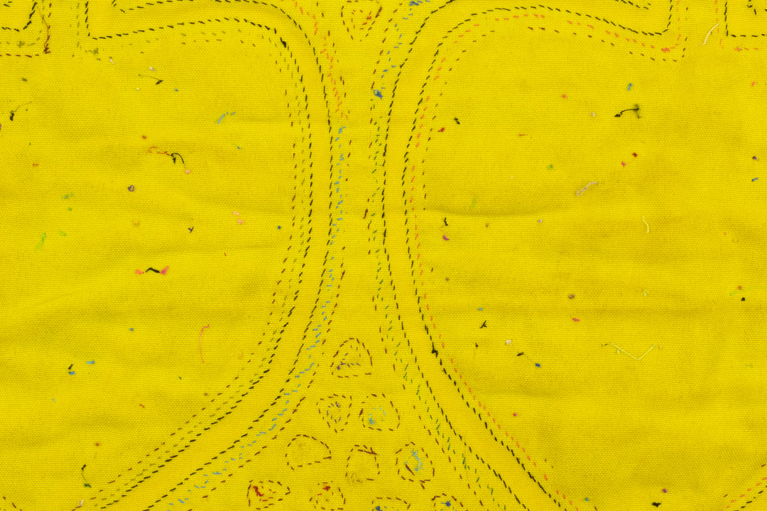 Apple Fruit Panama Mola