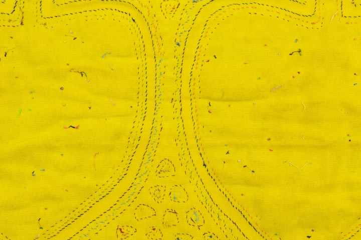 Apple Fruit Panama Mola