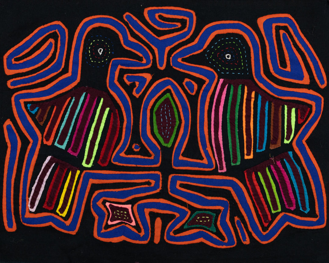 Pigeon Bird Talk Mola