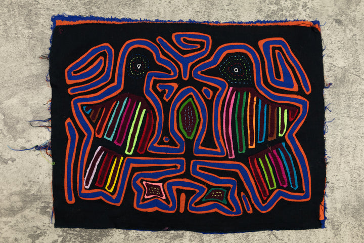 Pigeon Bird Talk Mola