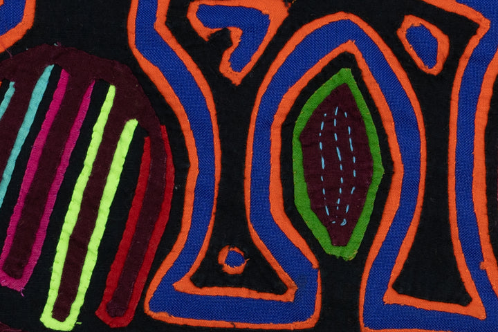 Pigeon Bird Talk Mola