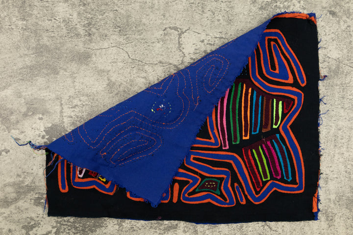 Pigeon Bird Talk Mola