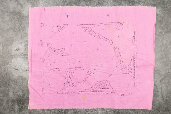 Pink and Green Iguana Parrot Mola