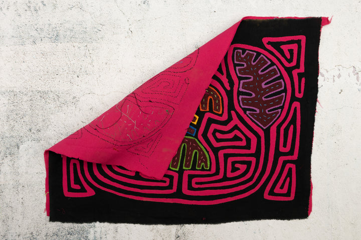 UFO Visitor Panama Mola