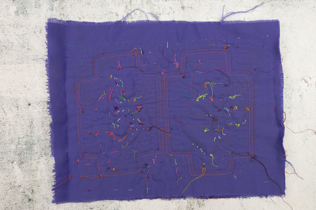 Aquarium Fish Panama Mola