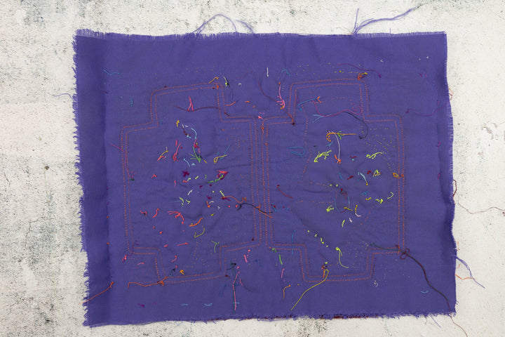 Aquarium Fish Panama Mola