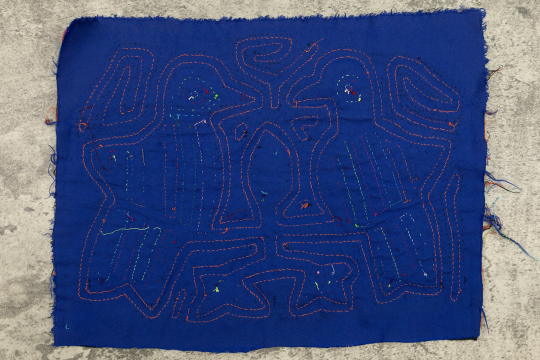 Pigeon Bird Talk Mola