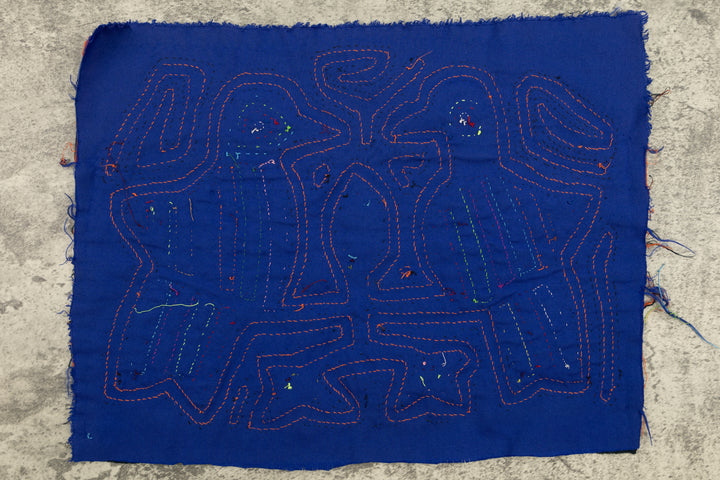 Pigeon Bird Talk Mola