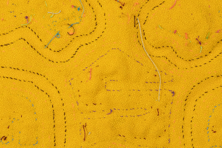 Orange Yellow Black Critter Mola