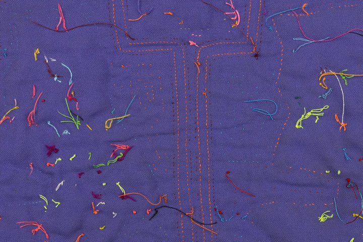 Aquarium Fish Panama Mola