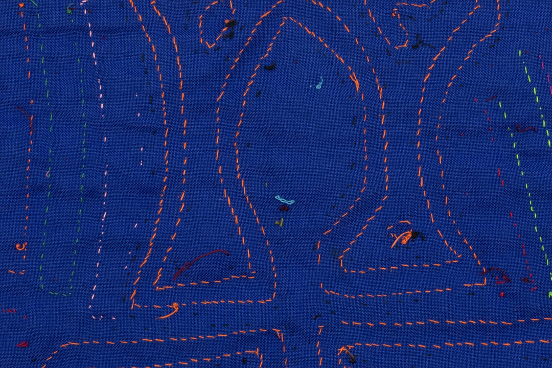 Pigeon Bird Talk Mola