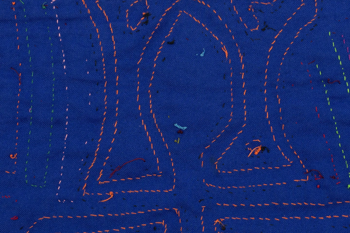 Pigeon Bird Talk Mola