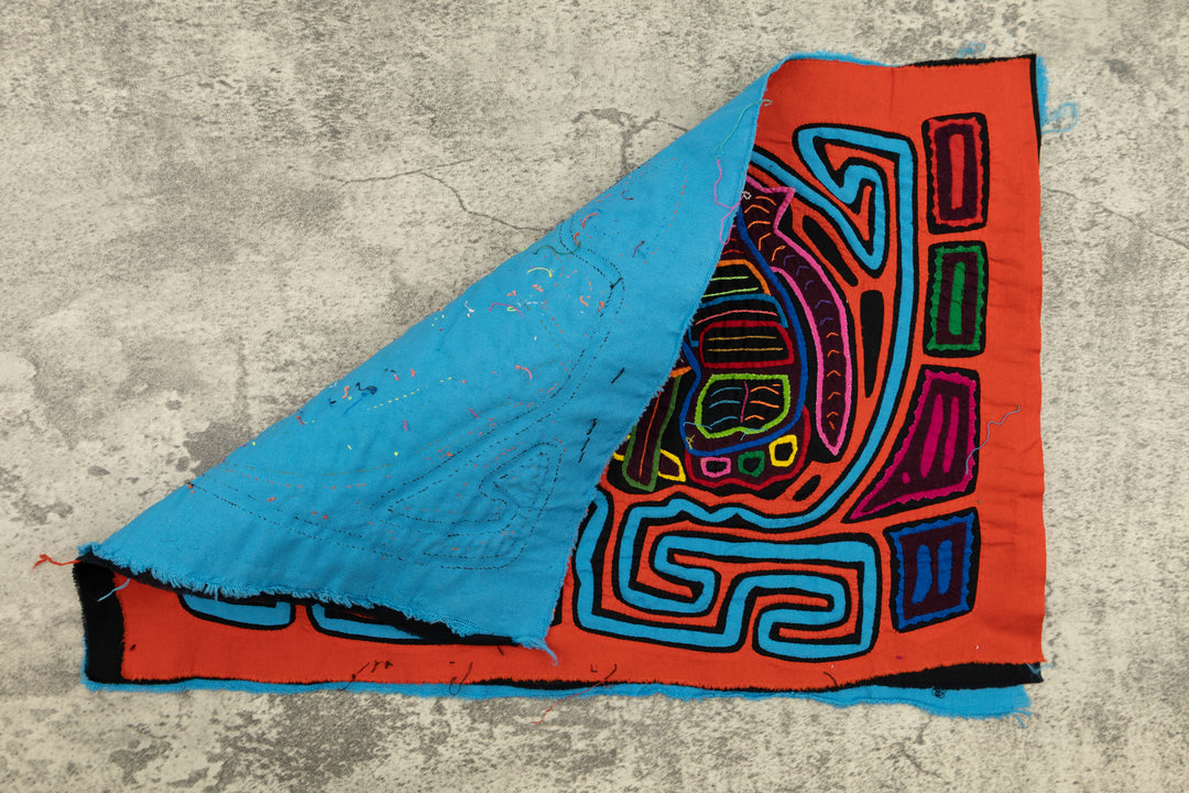 Weird Wing Butterfly Mola