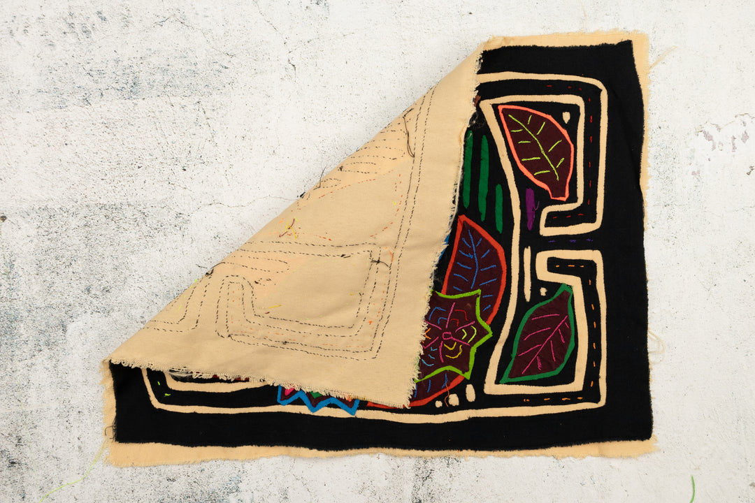 Rainforest Bird Mola