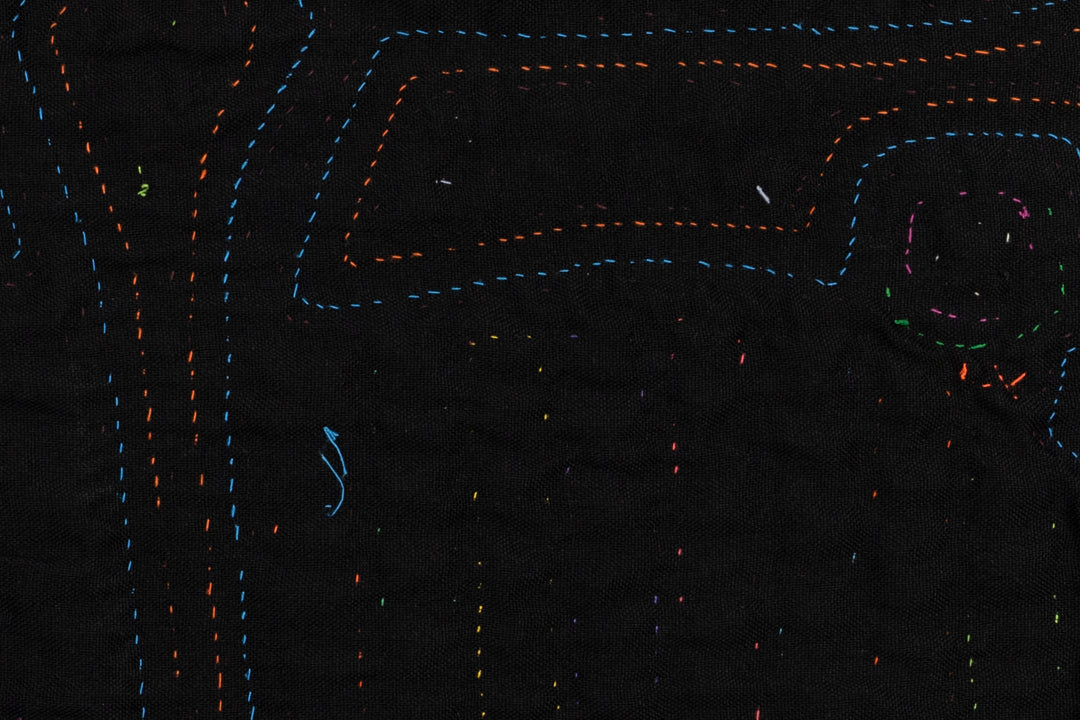 Tale of Tails Panama Mola