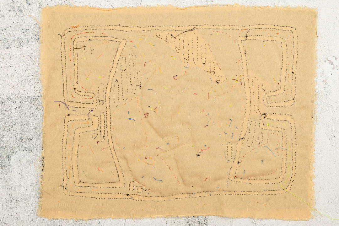 Rainforest Bird Mola