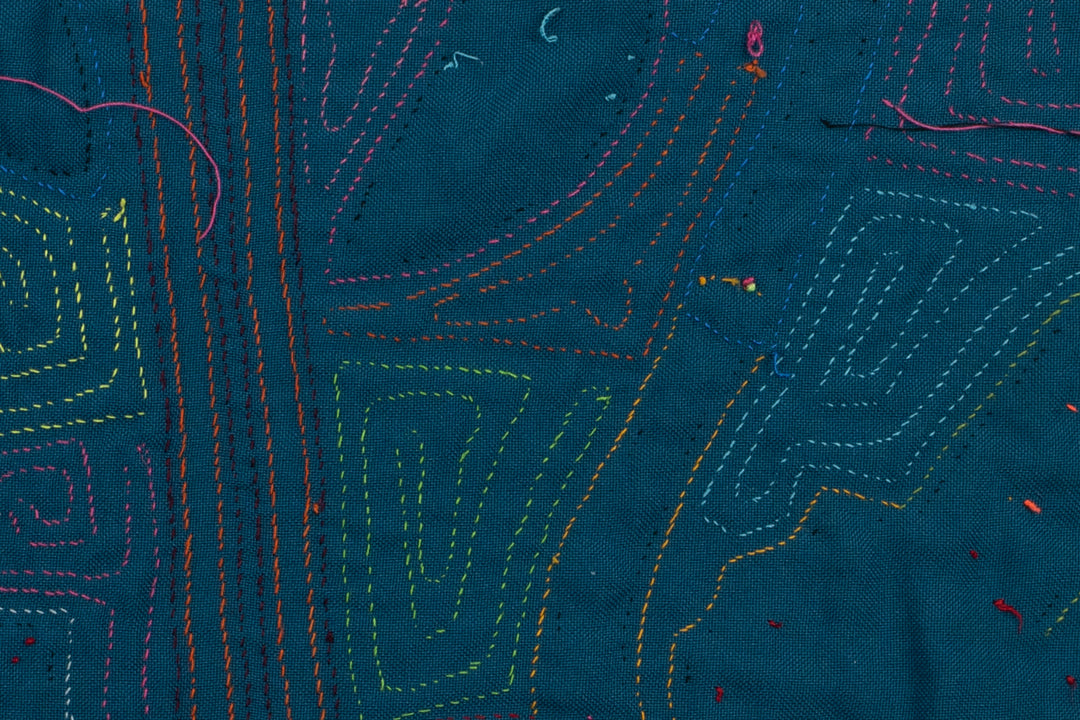 Handmade Fantasy Swan Bird Panama Mola