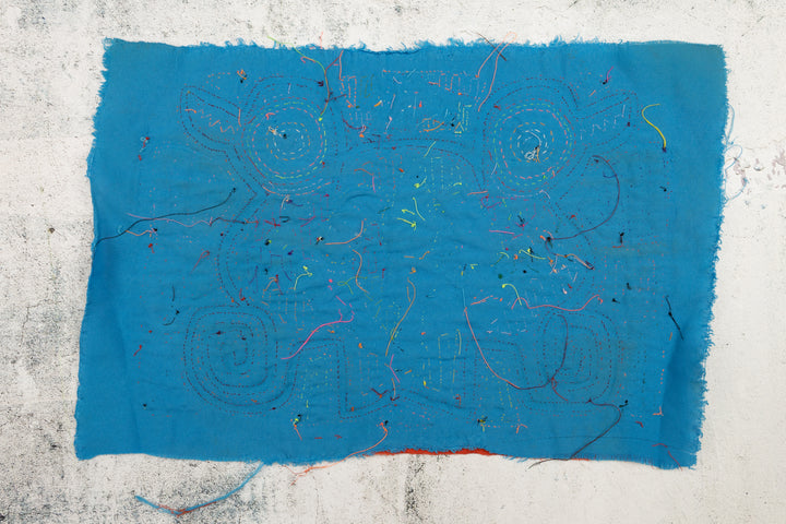 Siamese Twin Duck Panama Mola