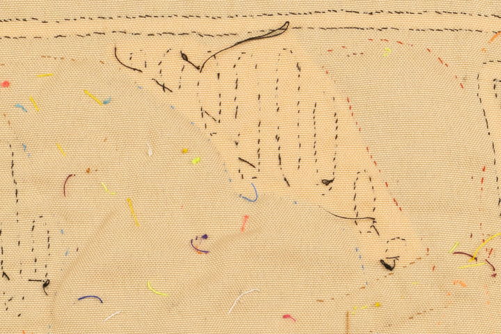 Rainforest Bird Mola