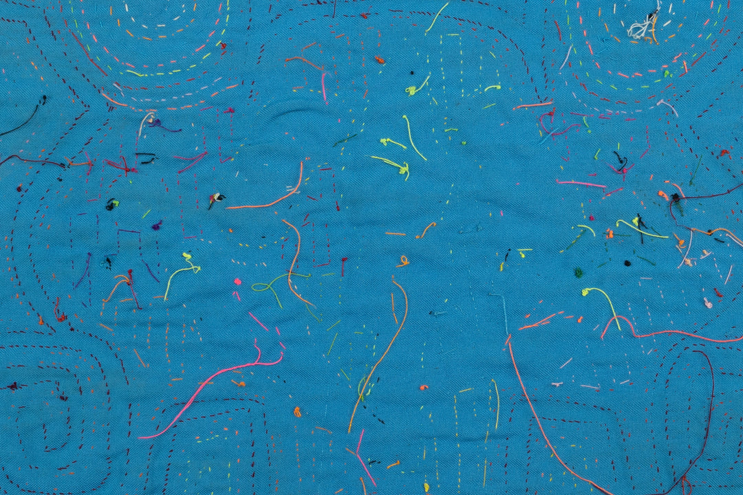 Siamese Twin Duck Panama Mola