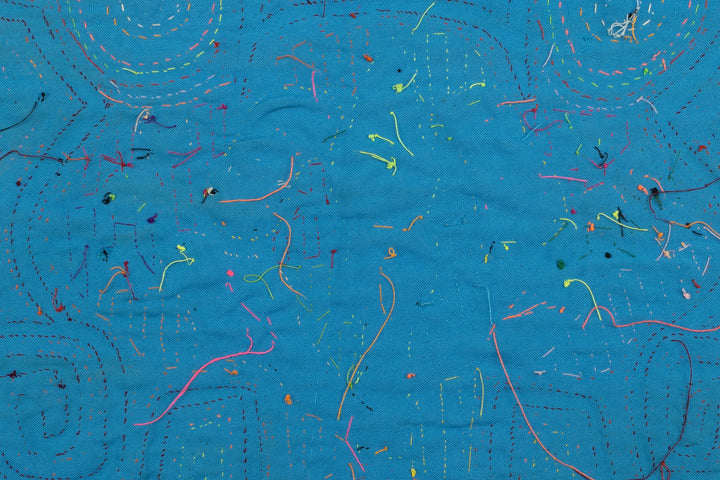 Siamese Twin Duck Panama Mola