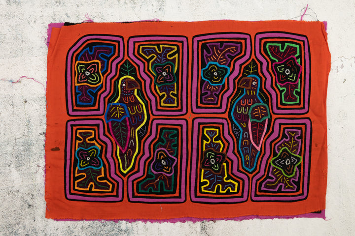 Orange Parrot Bird Mola