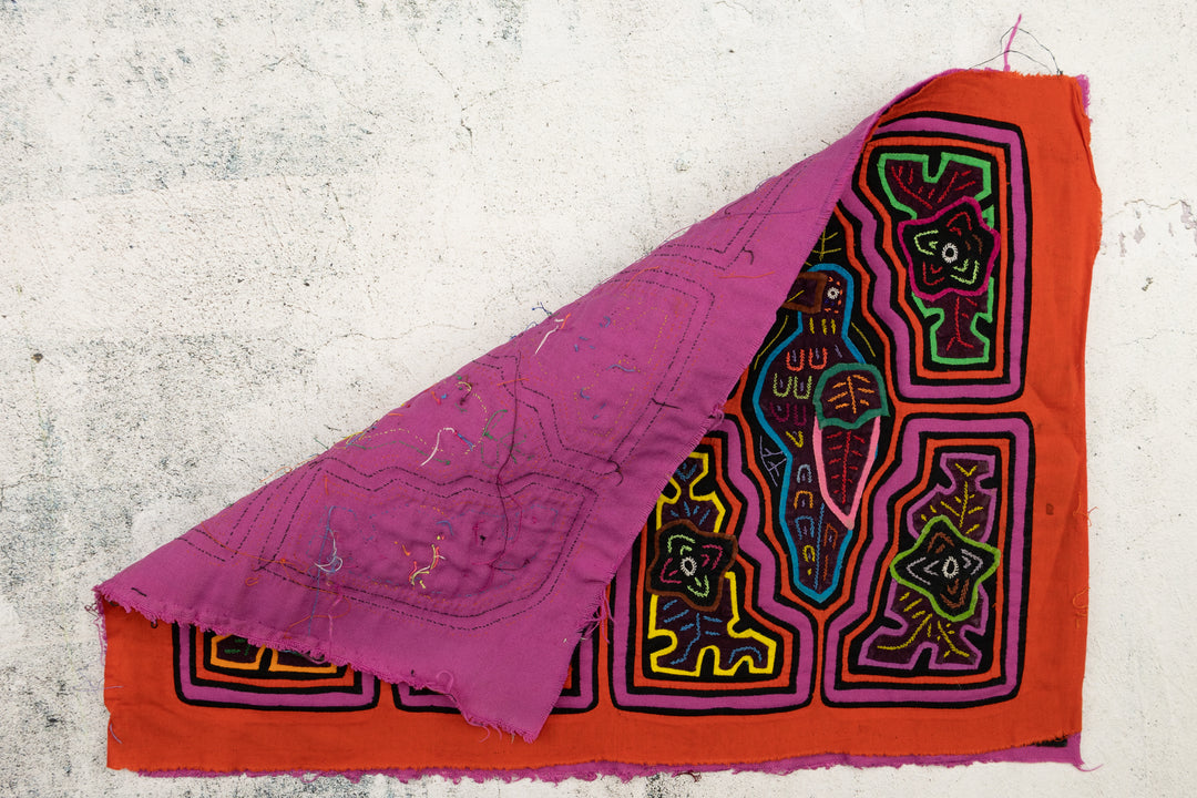 Orange Parrot Bird Mola