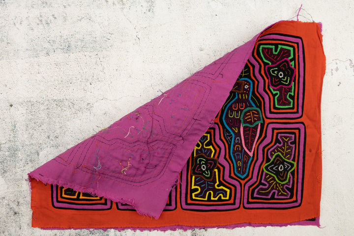 Orange Parrot Bird Mola