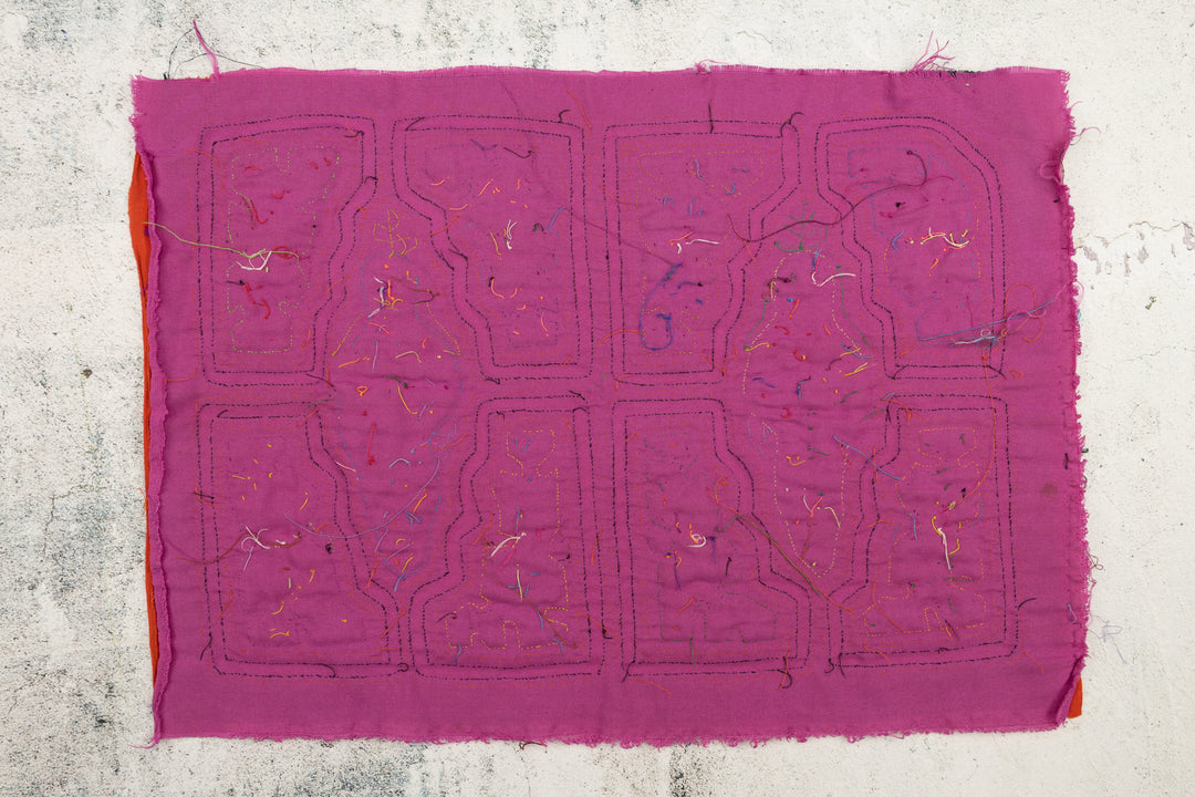 Orange Parrot Bird Mola