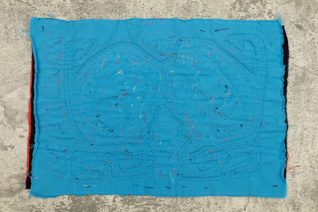 Weird Wing Butterfly Mola