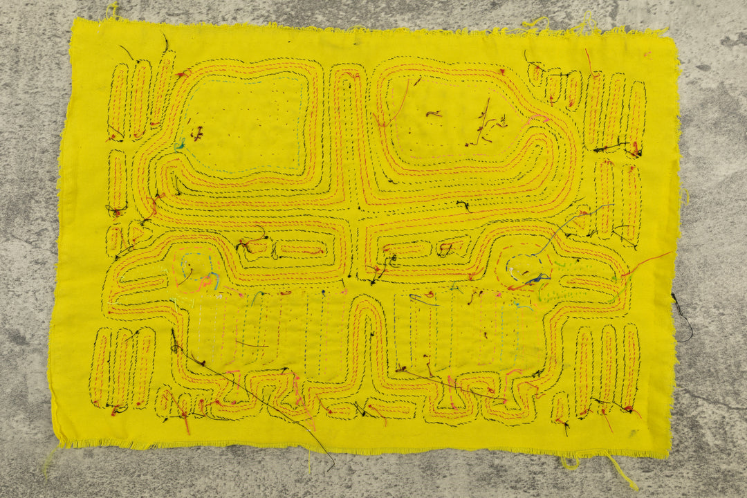 Puppy Dog Beagle Mola