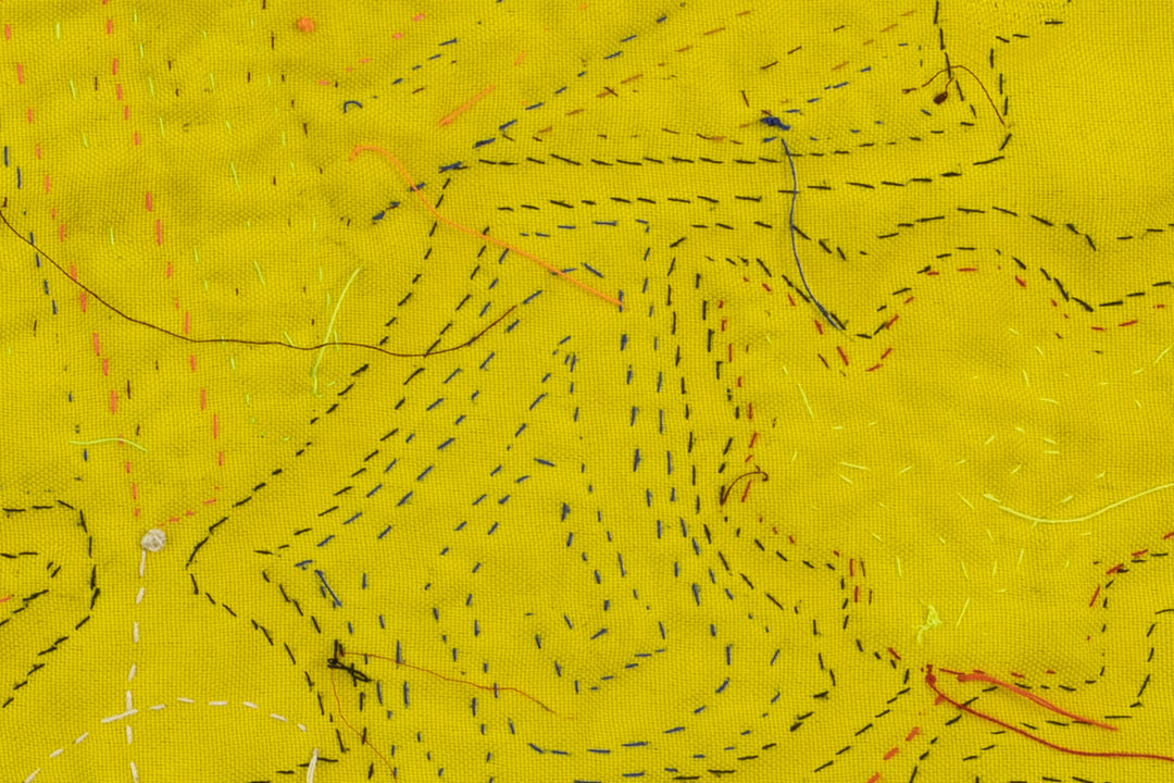 Rainbow Duck and Duckling Mola