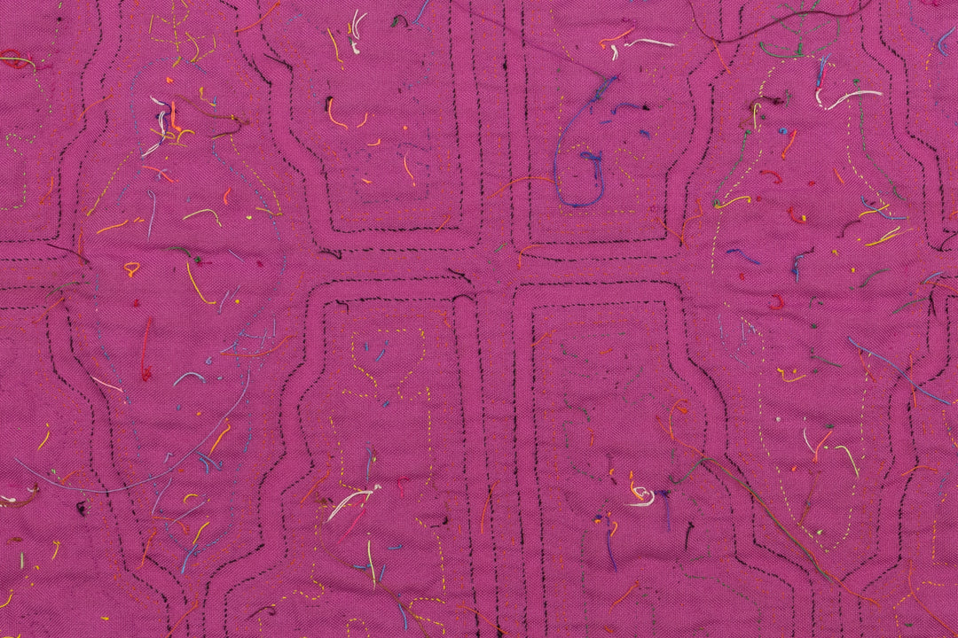 Orange Parrot Bird Mola