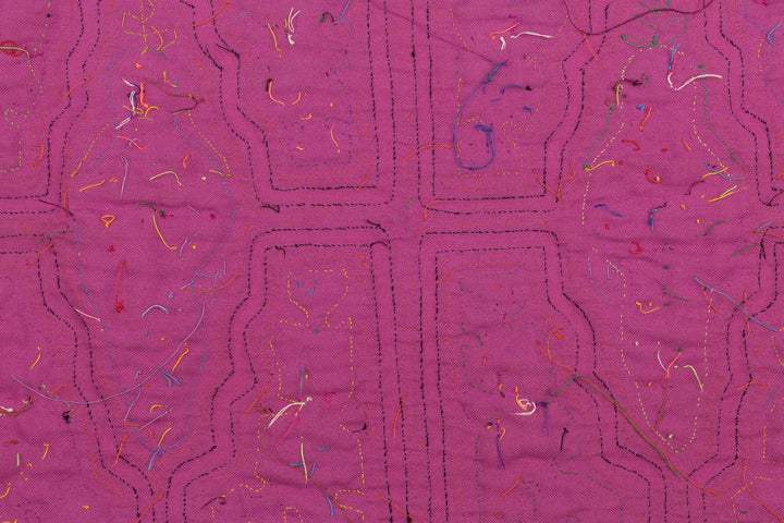 Orange Parrot Bird Mola