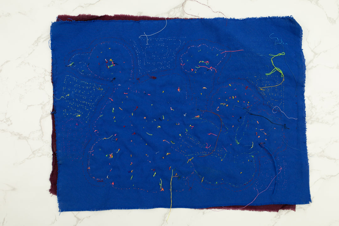 Rainbow Goose Panama Mola