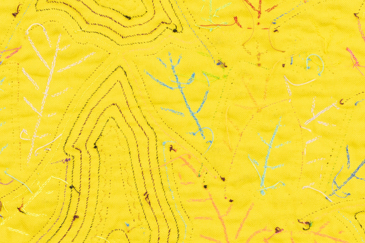 Flower Petals Galore Mola