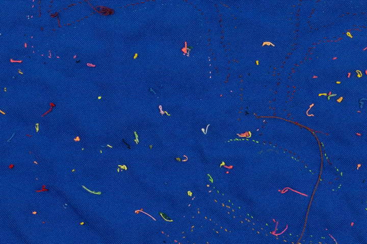 Rainbow Goose Panama Mola