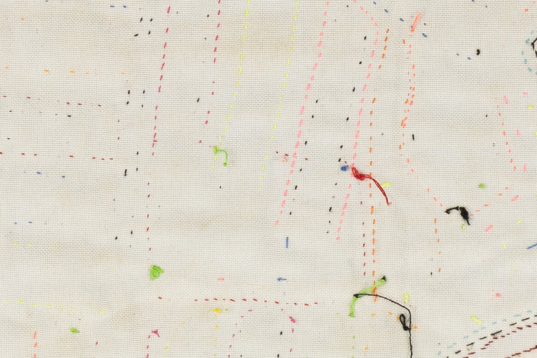 Kingfisher Bird Panama Mola