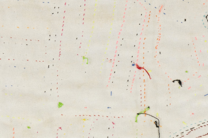 Kingfisher Bird Panama Mola